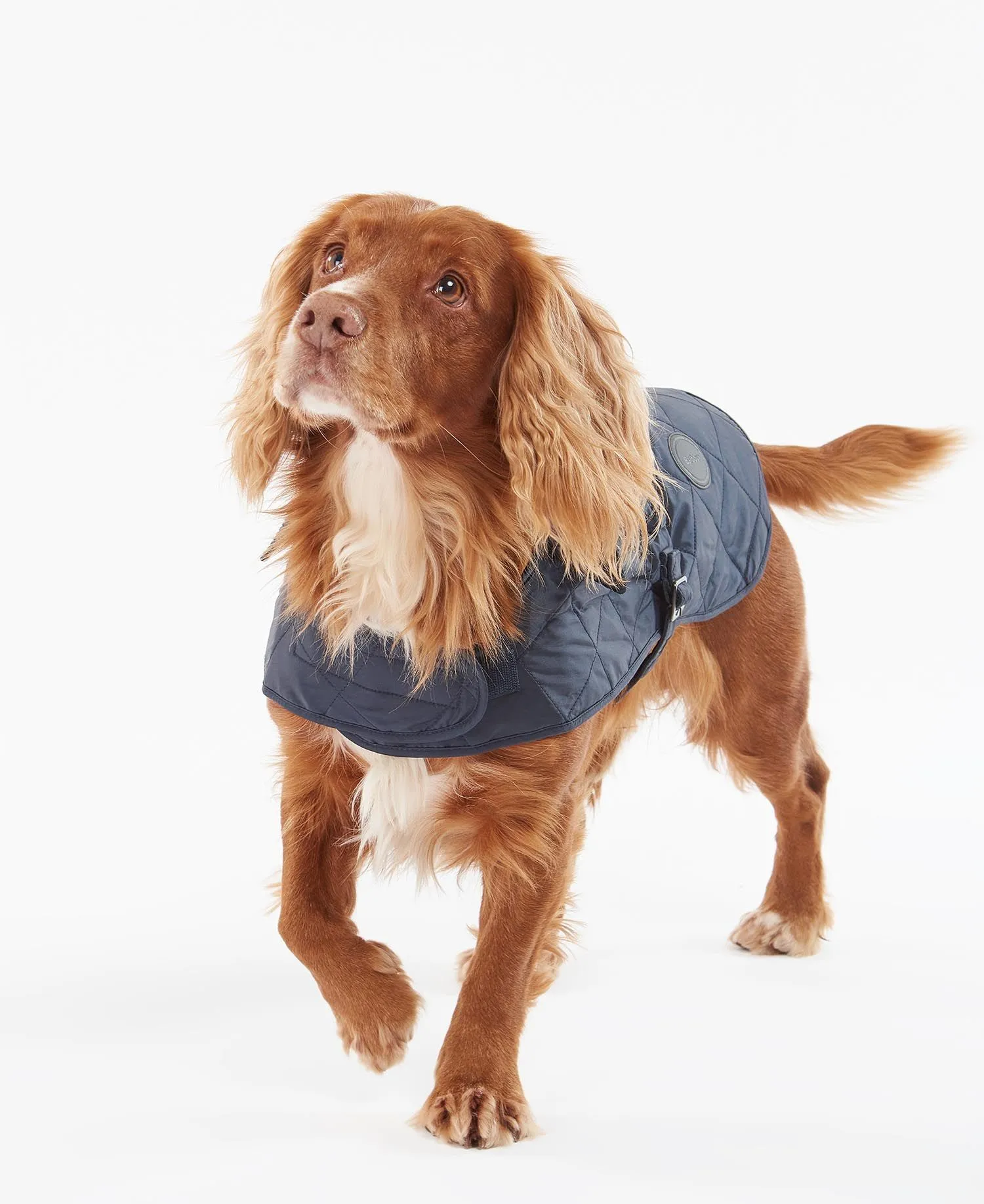  Quilted Dog Coat     