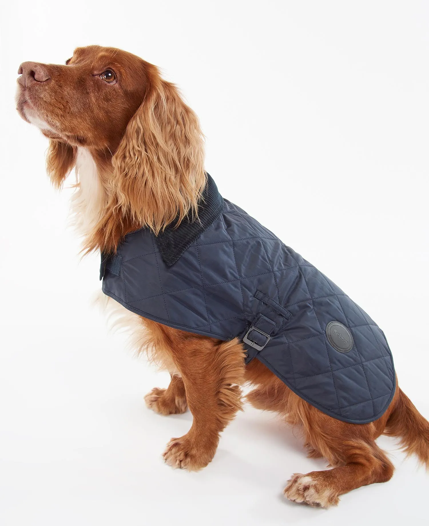  Quilted Dog Coat     