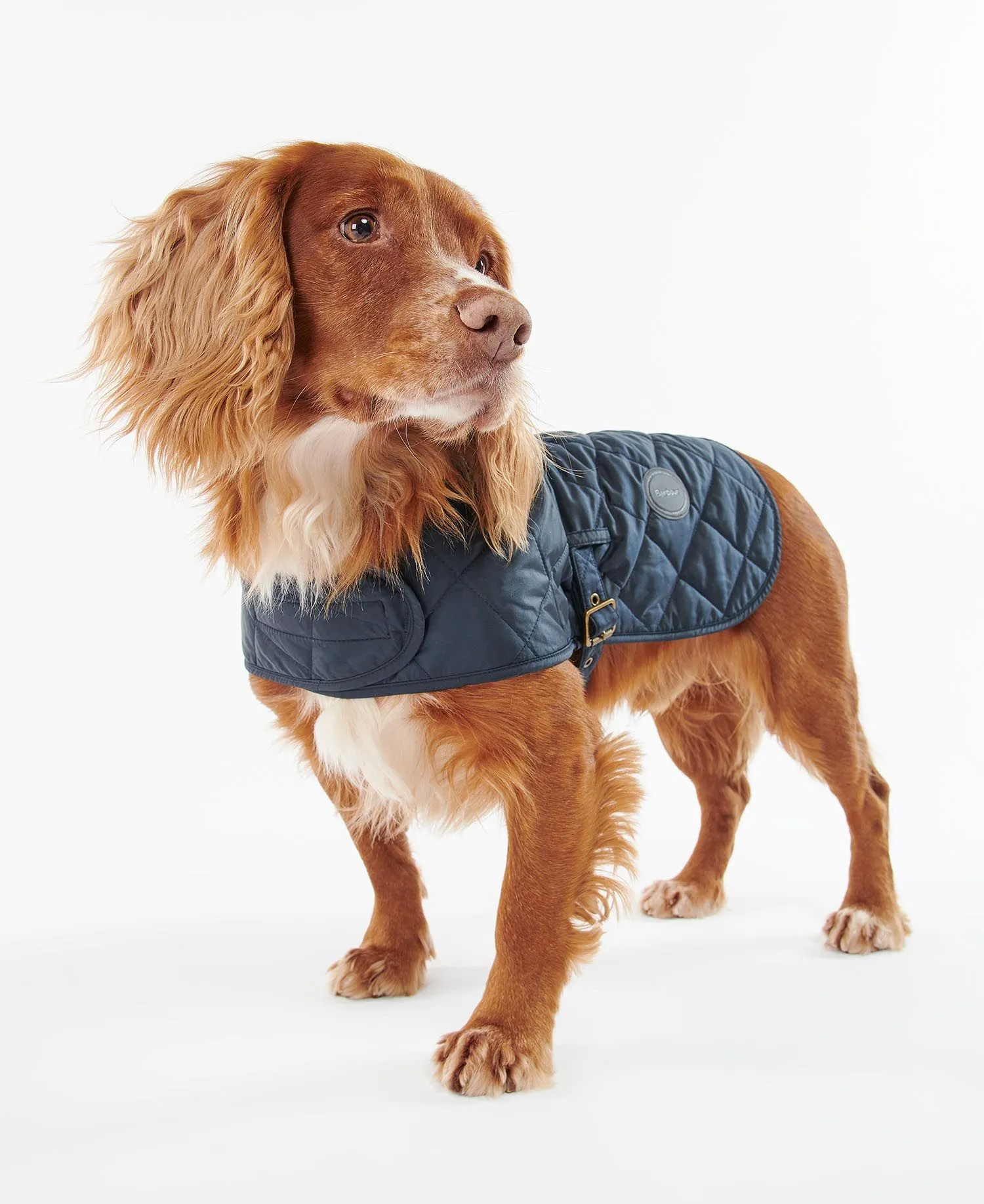  Quilted Dog Coat     