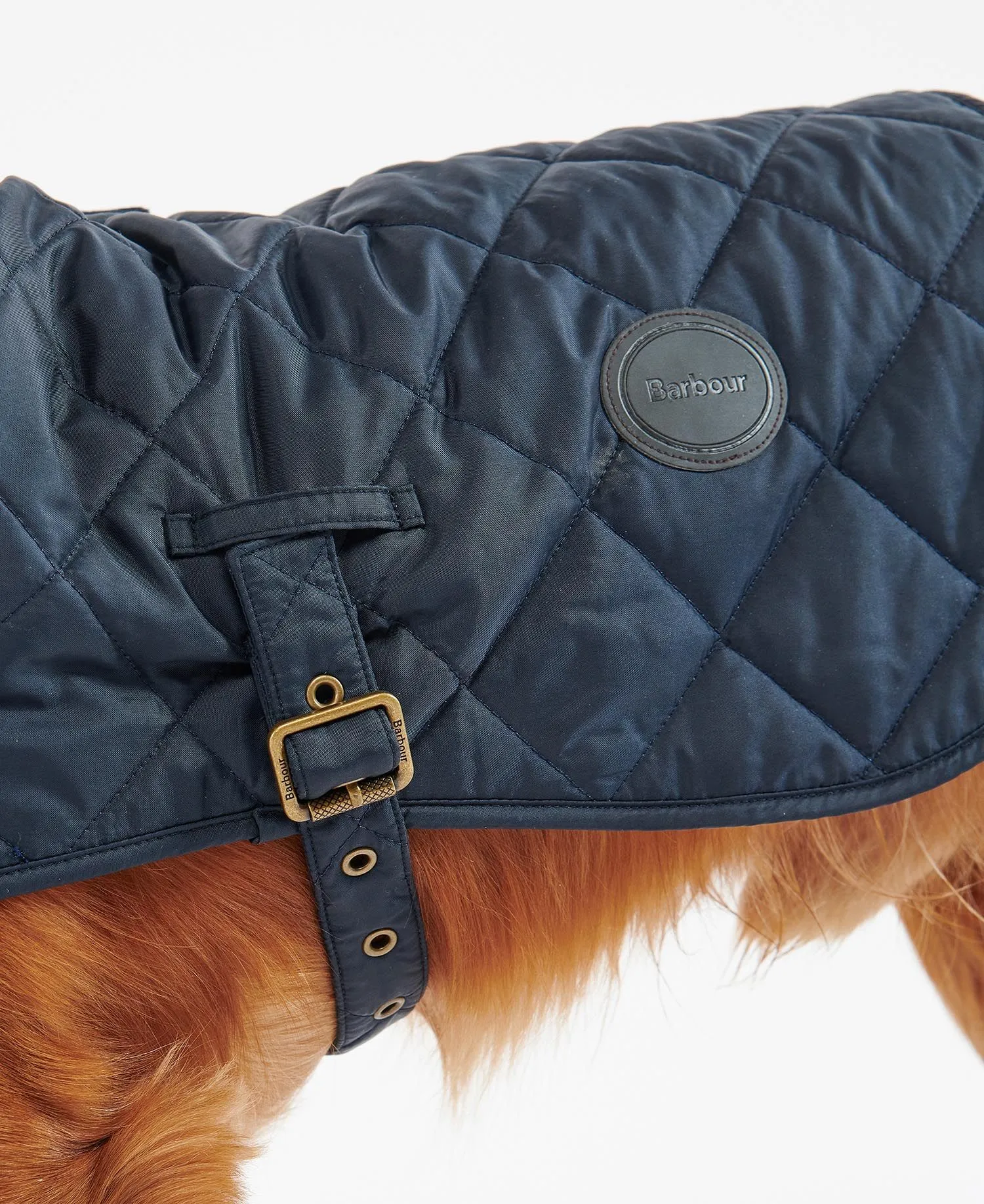  Quilted Dog Coat     