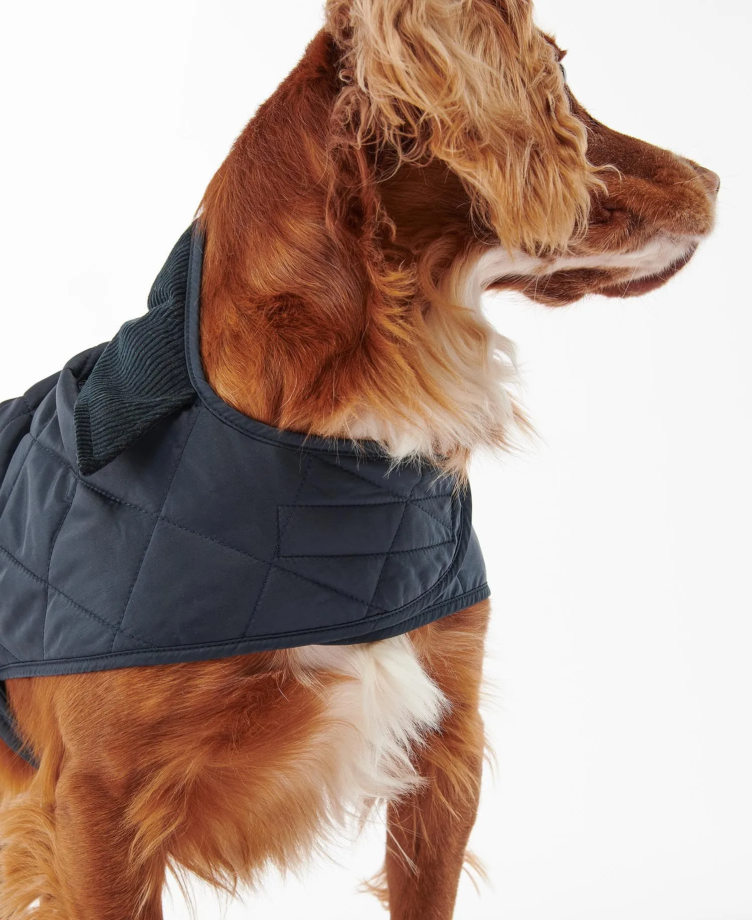  Quilted Dog Coat     