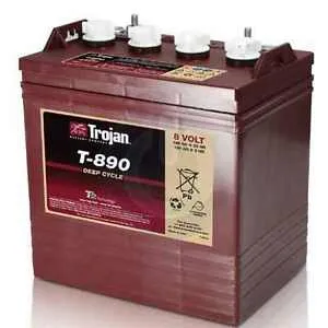 Trojan Batteri T-890, 8V